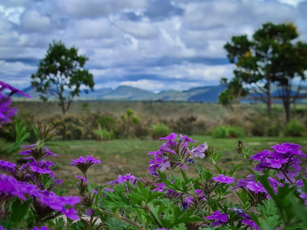 Mirante Do Morro Villa อัลโต ปาไรโซ เด โกยาส ภายนอก รูปภาพ